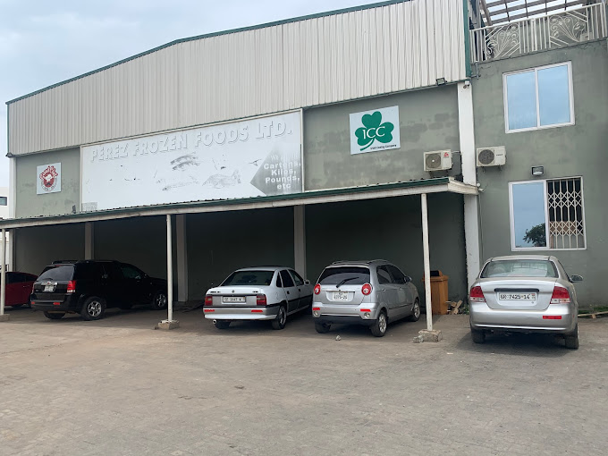 Best Frozen Foods Distributor Ghana